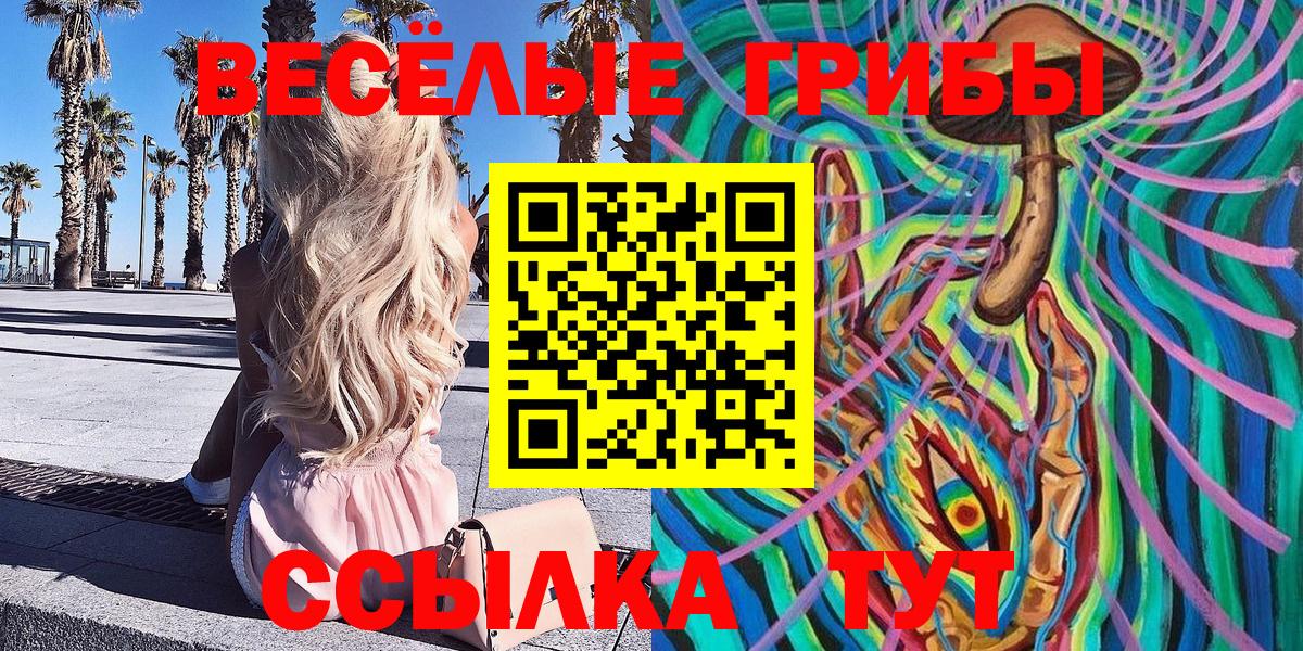 Псилоцибиновые грибы Cubensis  Галлюциногенные грибы Psilocybe  Димитровград  Вход с VPN 